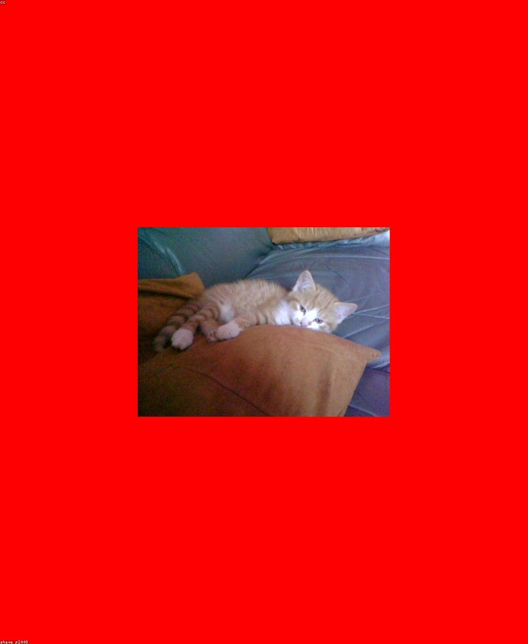 Test_KINGYOLzAi